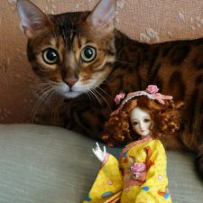 Метелька и её новый друг