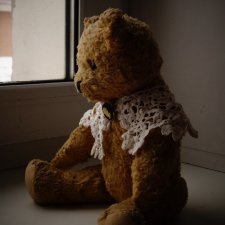 Одинокий мишка