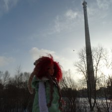 Котина прогулка. Про нашу телебашню