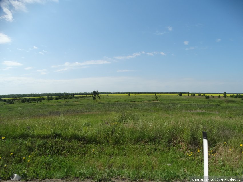 Совсем другие Аси — Куклы ASI (Аси): испанские пупсы