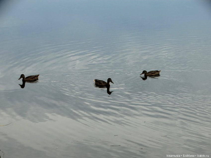 Прогулка по Верхней Сысерти (фото 2)