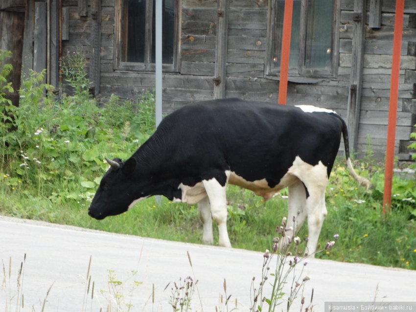 Прогулка по Верхней Сысерти