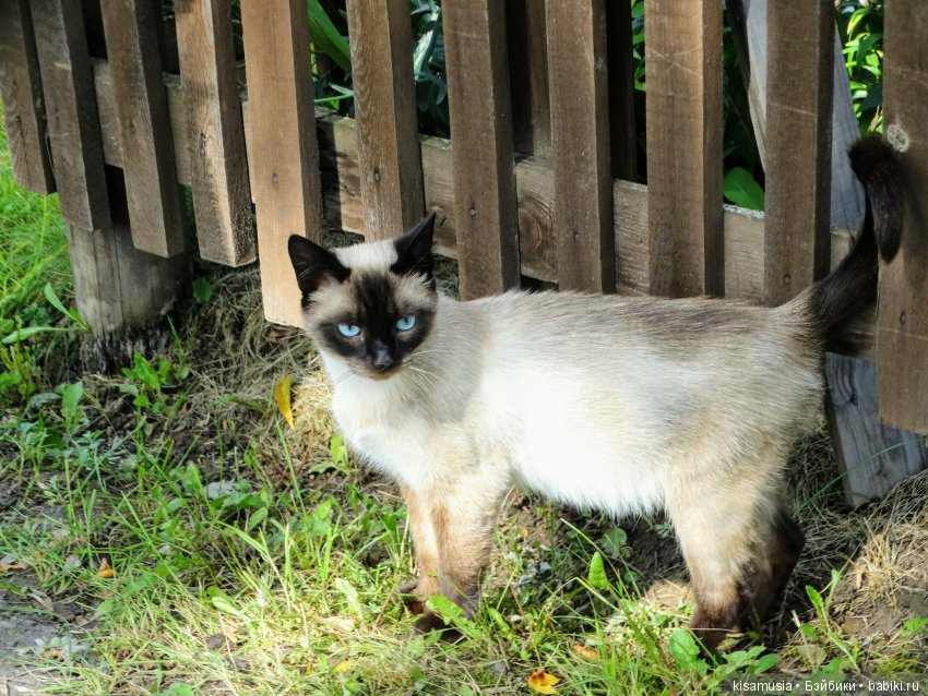 Бажовская верста. Прогулка по Сысерти