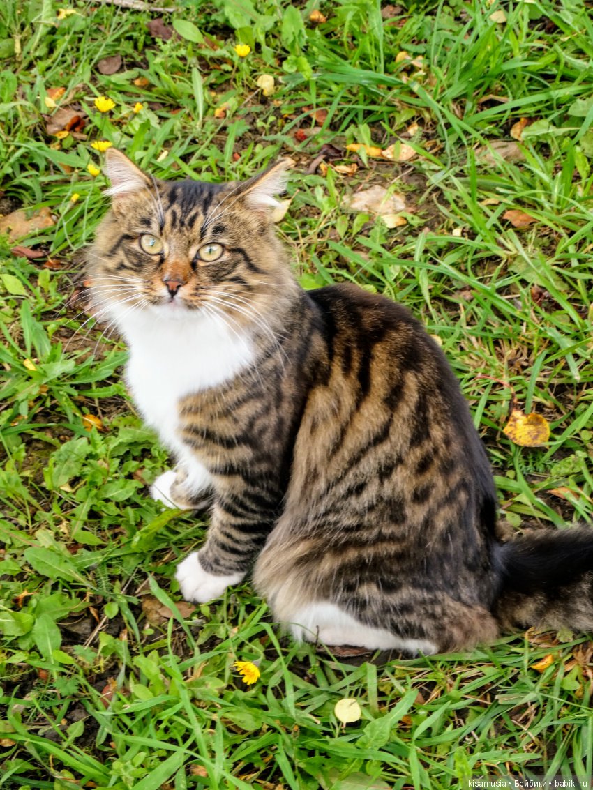 Бажовская верста. Прогулка по Сысерти