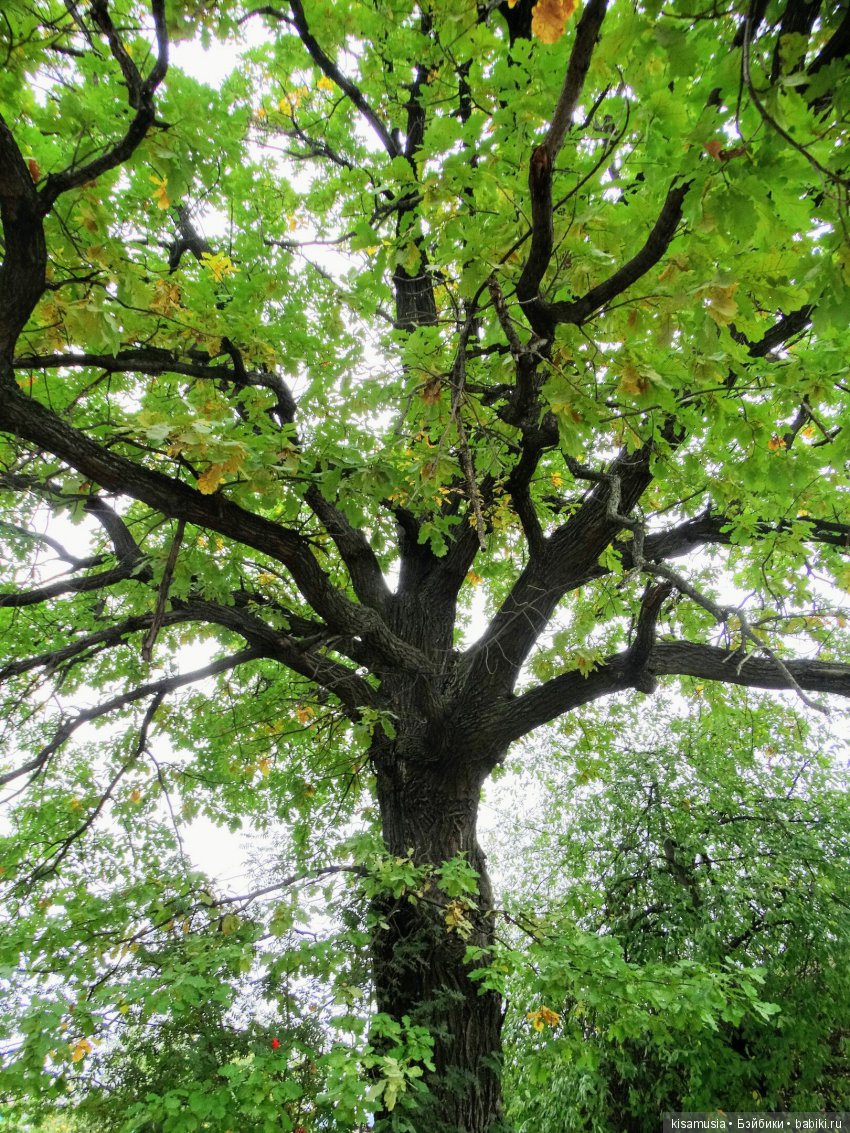 Бажовская верста. Прогулка по Сысерти