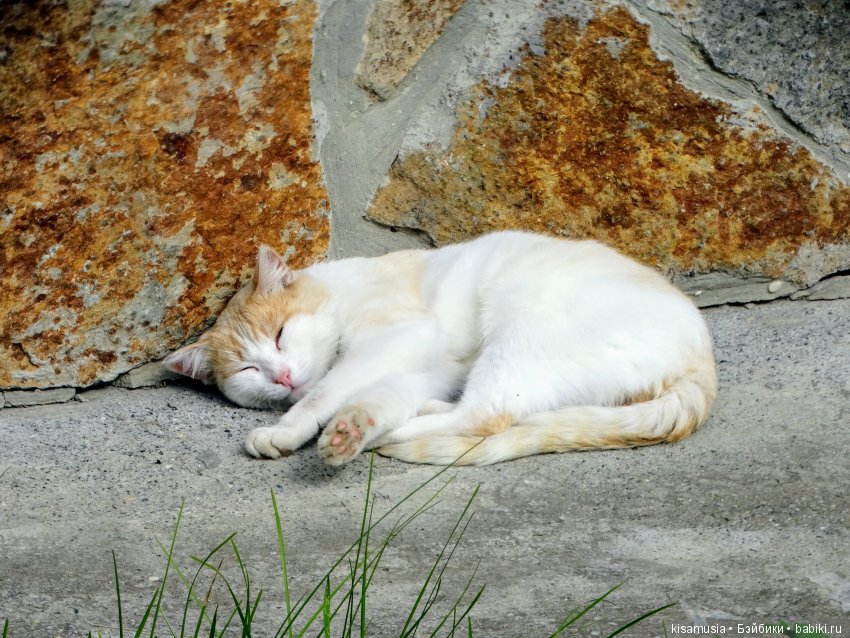 Бажовская верста. Прогулка по Сысерти
