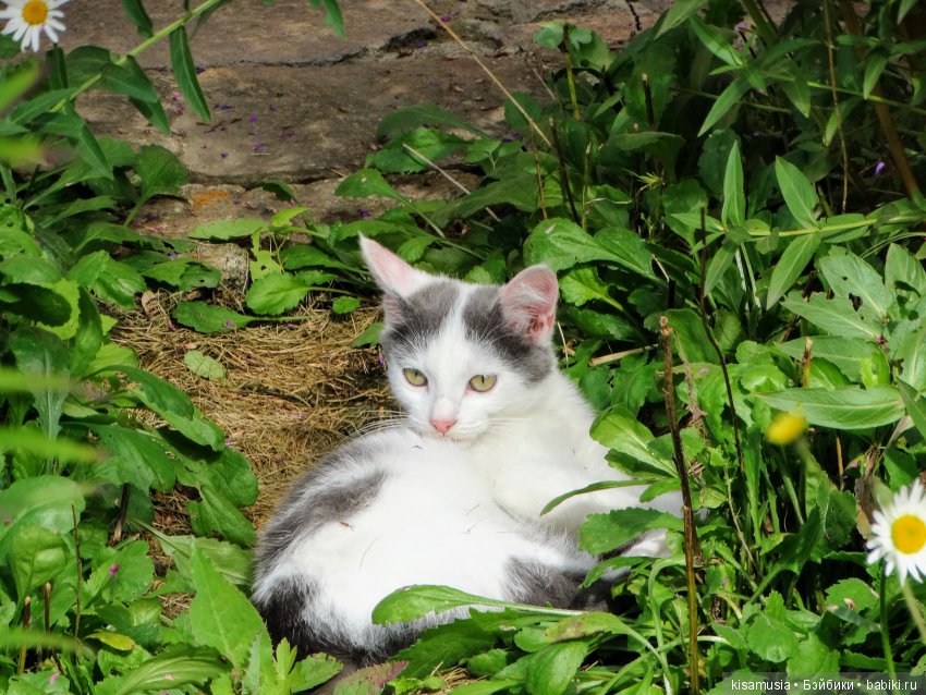 Бажовская верста. Прогулка по Сысерти