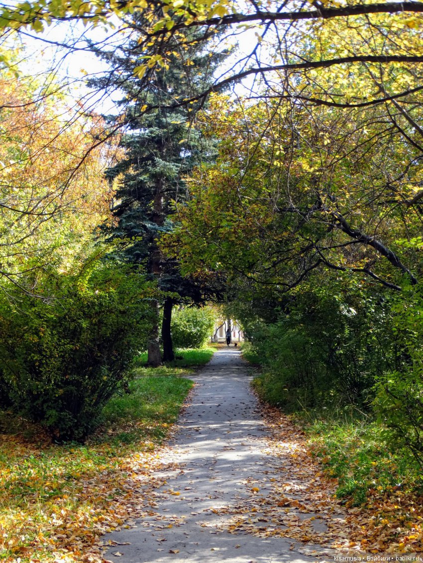 Верхний Тагил осенью — Туризм и путешествия: фотоотчеты из поездок