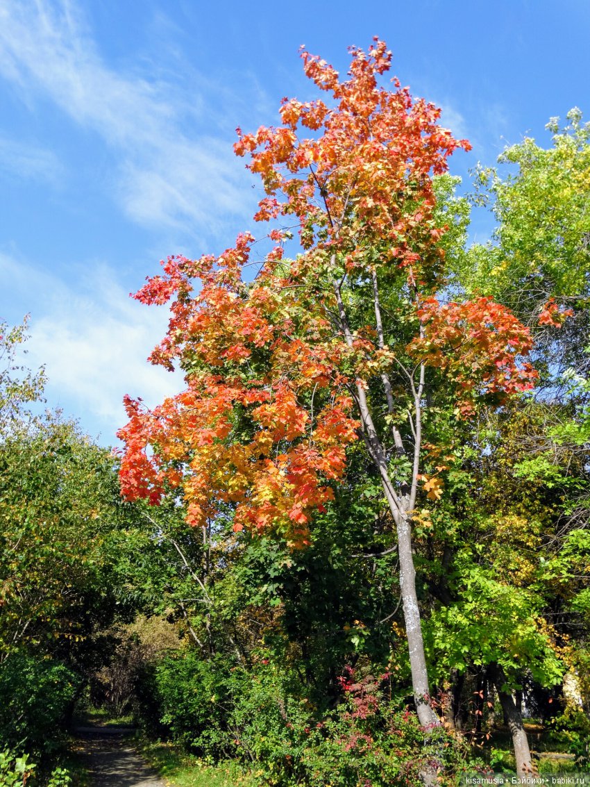 Верхний Тагил осенью — Туризм и путешествия: фотоотчеты из поездок