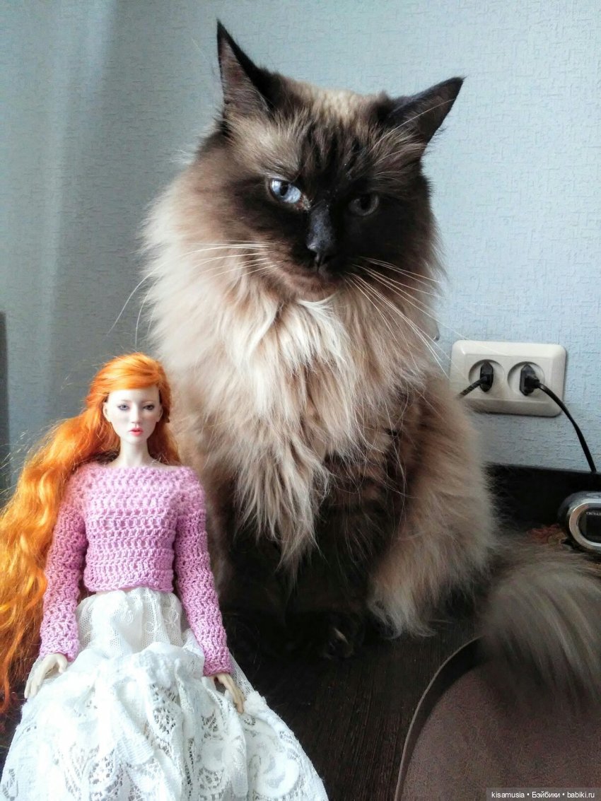 С Днём кошек — Интересное и необычное: фотоподборки