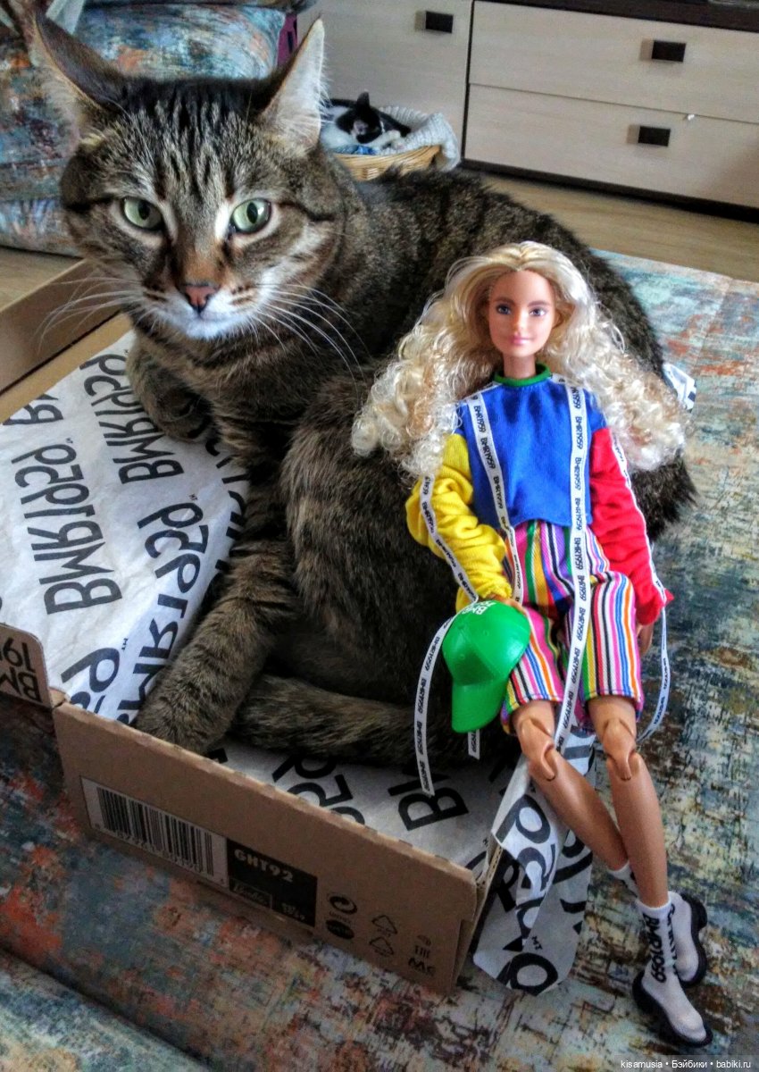 С Днём кошек — Интересное и необычное: фотоподборки (фото 8)