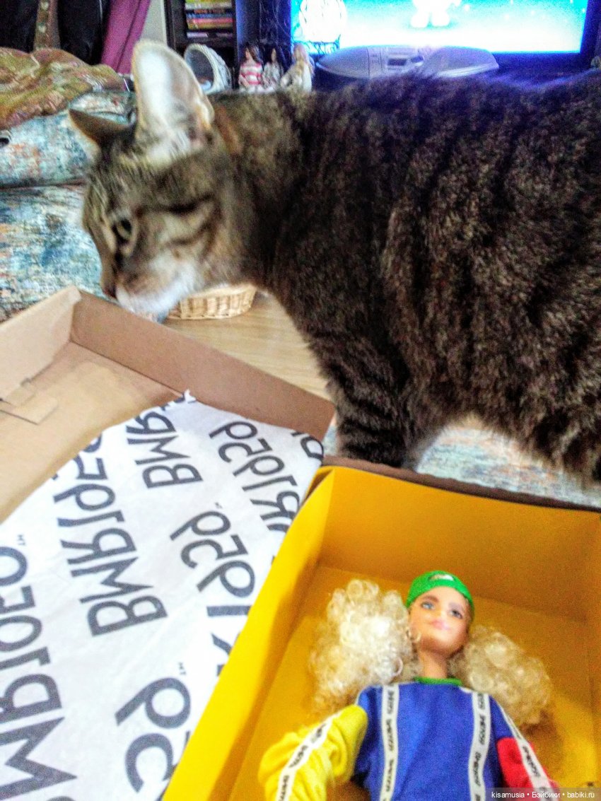 С Днём кошек — Интересное и необычное: фотоподборки