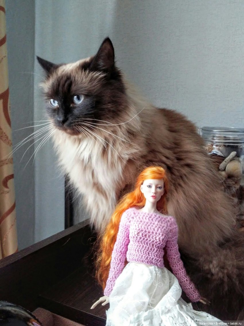 С Днём кошек — Интересное и необычное: фотоподборки