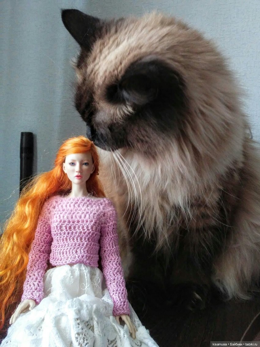 С Днём кошек — Интересное и необычное: фотоподборки