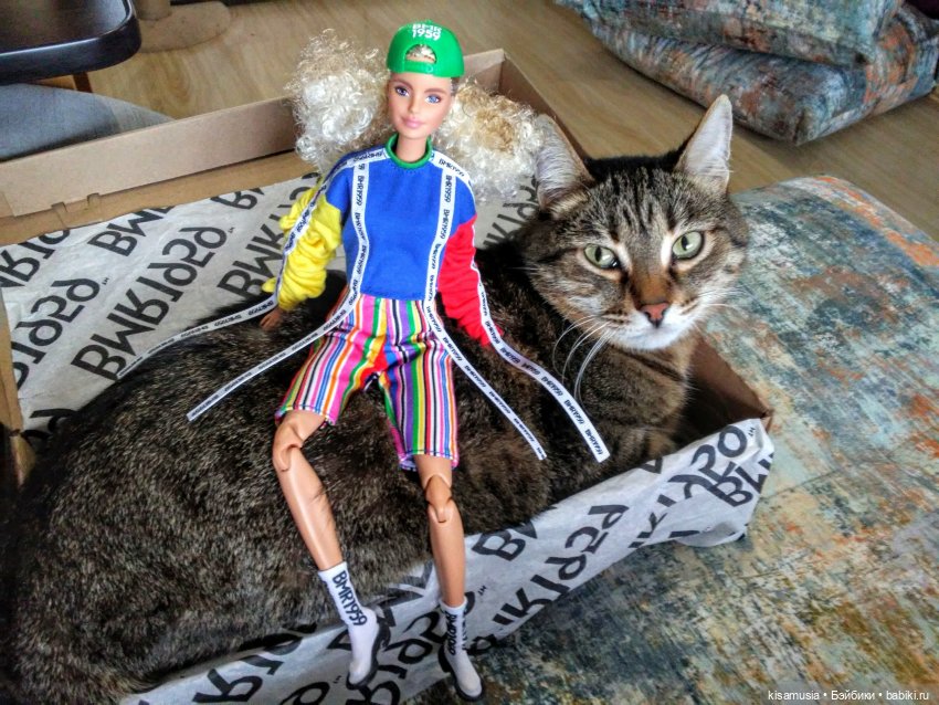 С Днём кошек — Интересное и необычное: фотоподборки (фото 7)