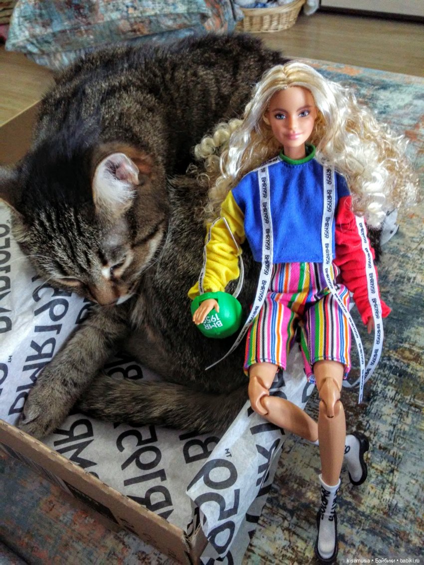 С Днём кошек — Интересное и необычное: фотоподборки (фото 10)