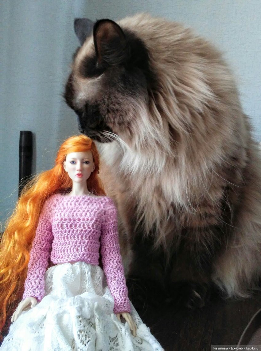 С Днём кошек — Интересное и необычное: фотоподборки