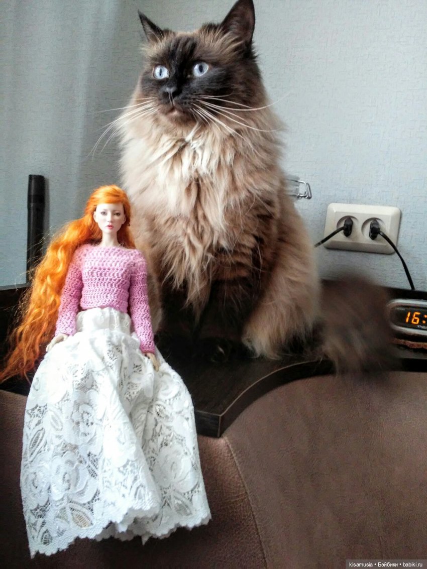 С Днём кошек — Интересное и необычное: фотоподборки