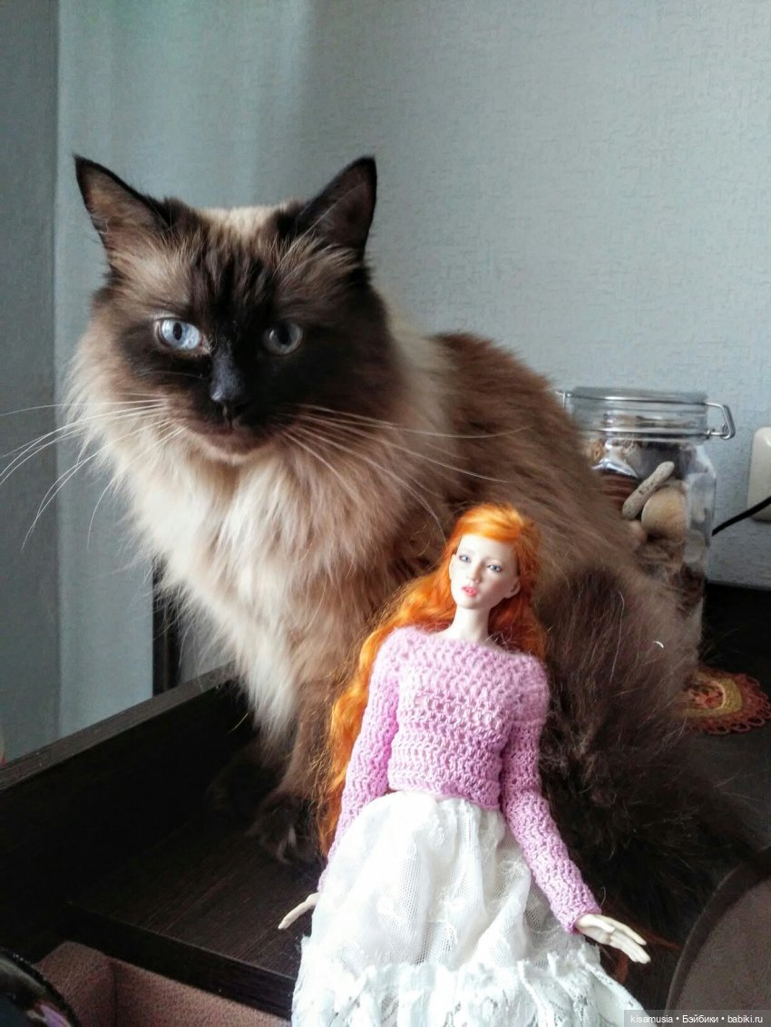 С Днём кошек — Интересное и необычное: фотоподборки