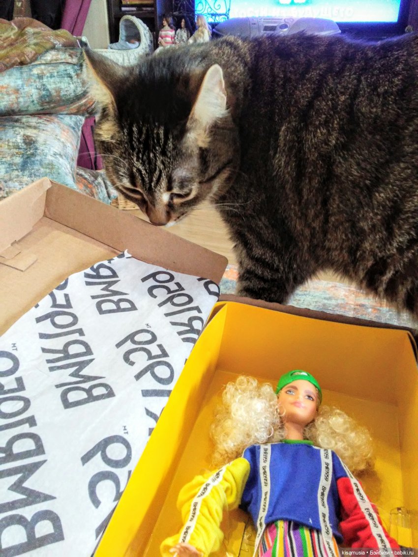 С Днём кошек — Интересное и необычное: фотоподборки (фото 2)