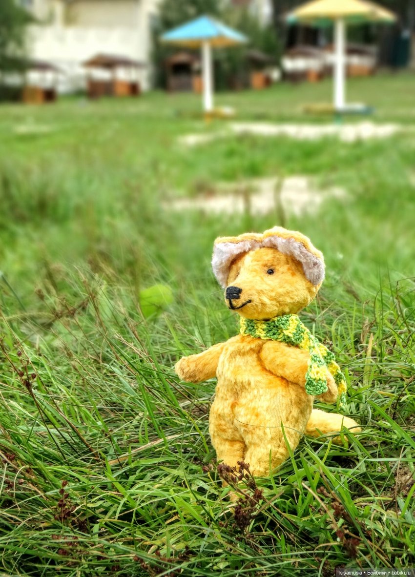 Безмятежное лето. Алёша и лисёнок