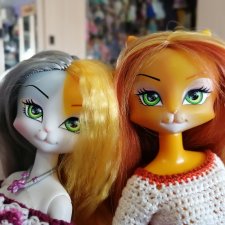 Мои кошечки
