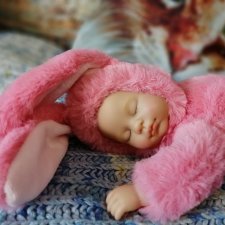 Мои зайчики