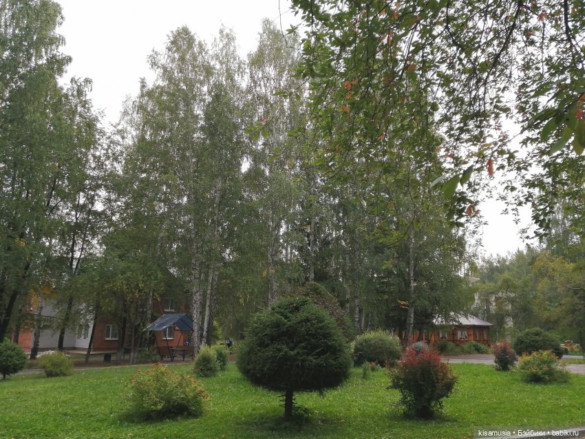 Наш летний отдых с куколками mamachapp