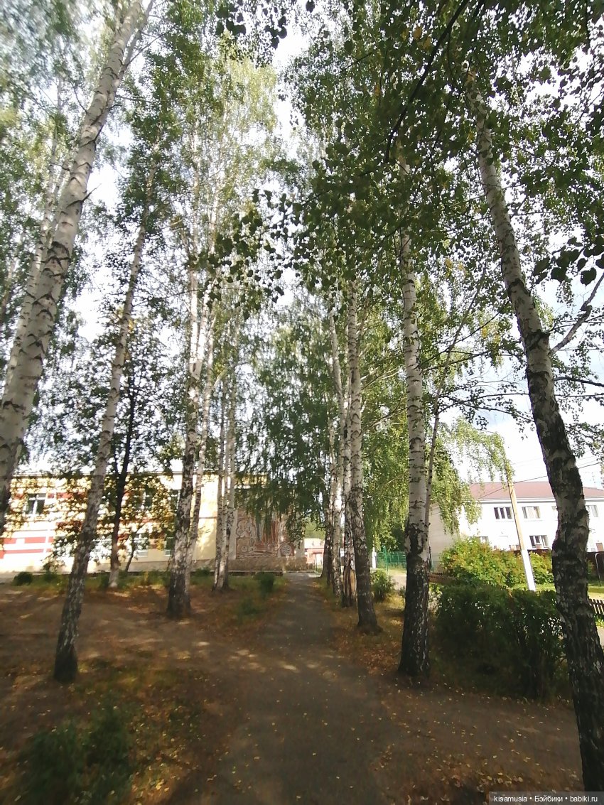 Наш летний отдых с куколками mamachapp