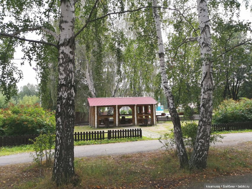 Наш летний отдых с куколками mamachapp