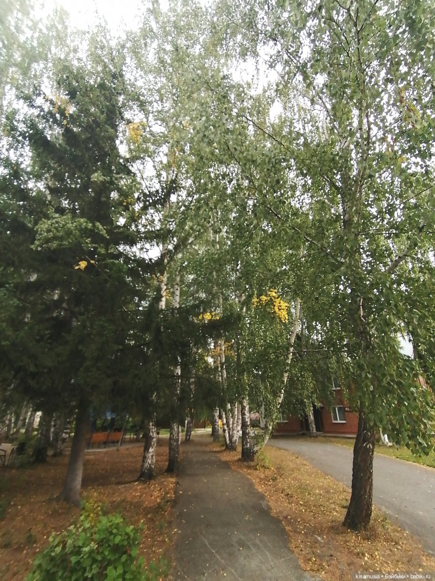 Наш летний отдых с куколками mamachapp