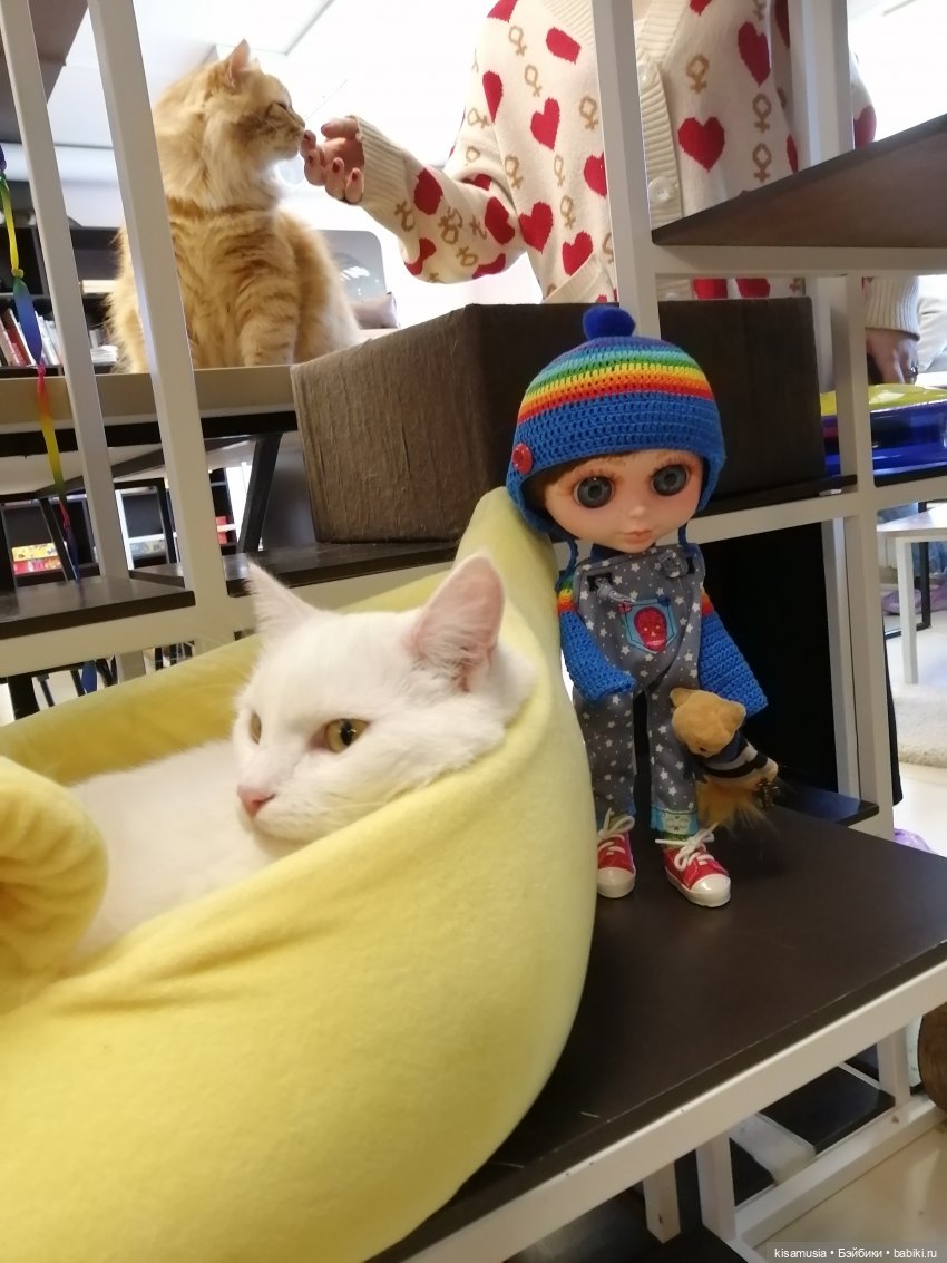 Энди в Петербурге — Куклы Berjuan (Бержуан): Биггерсы (Biggers)