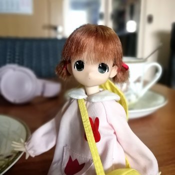 Моя любимая Моко-чан