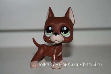 Коллекция моей дочери - LPS tierchen | Бэйбики Коллекция моей дочери - LPS tierchen