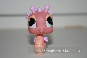 Морской конь Морской конь