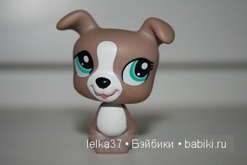 Коллекция моей дочери - LPS tierchen | Бэйбики Коллекция моей дочери - LPS tierchen