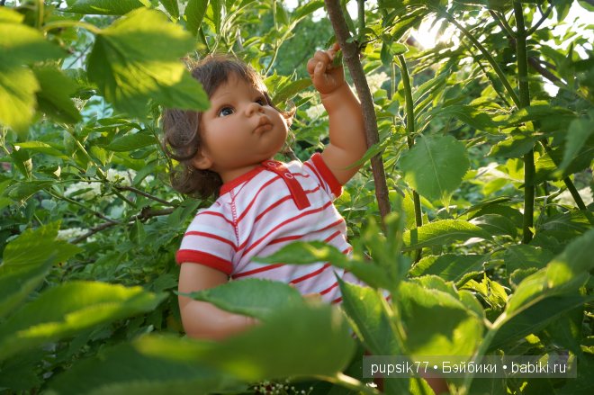 Малыши lee Middleton — Куклы Lee Middleton (Ли Миддлтон): Reva Schick