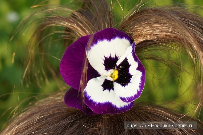 Малыши lee Middleton — Куклы Lee Middleton (Ли Миддлтон): Reva Schick