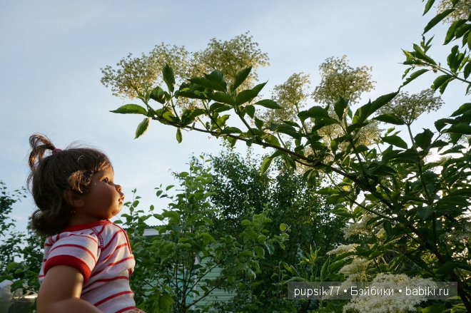 Малыши lee Middleton — Куклы Lee Middleton (Ли Миддлтон): Reva Schick