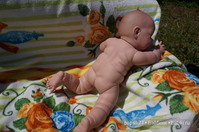 Часть первая. Мои крупняшки-пухлячки Беренжер (фото 5)