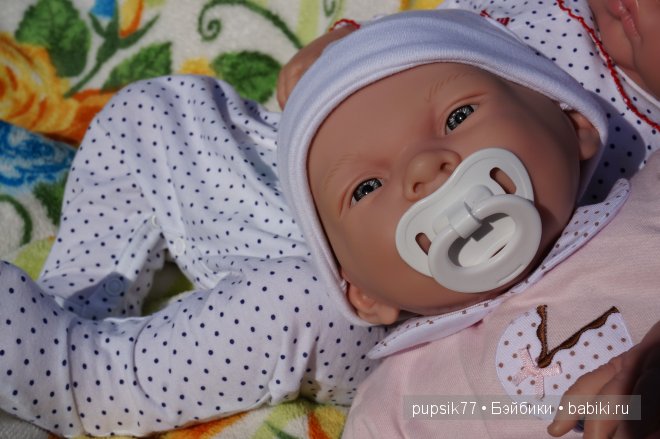 Часть первая. Мои крупняшки-пухлячки Беренжер