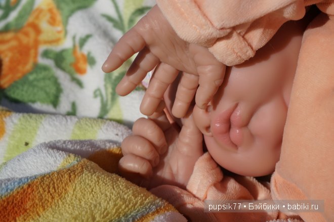 Часть первая. Мои крупняшки-пухлячки Беренжер