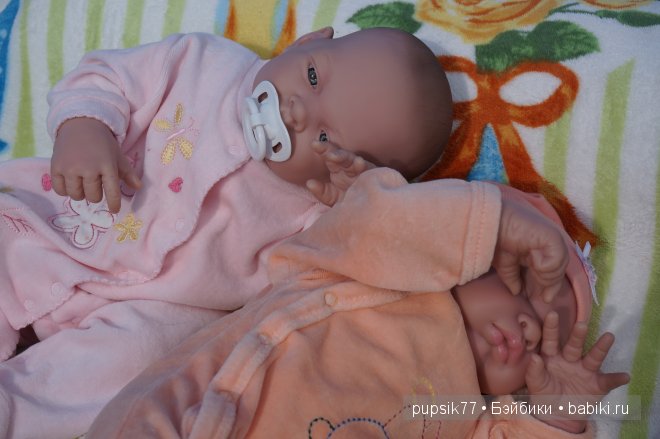 Часть первая. Мои крупняшки-пухлячки Беренжер