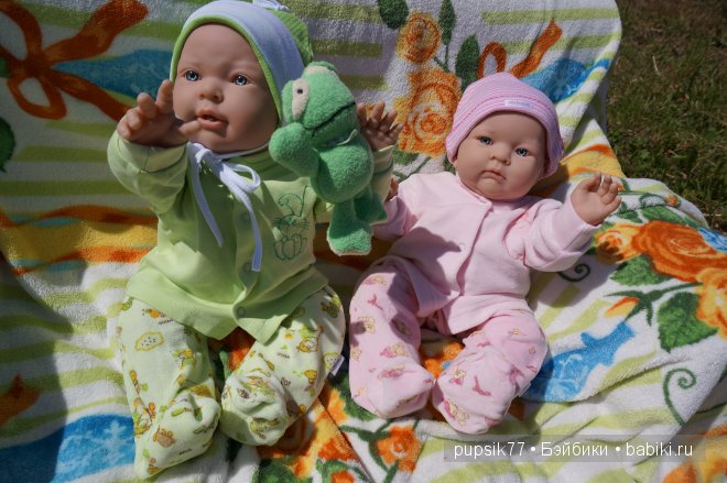 Часть первая. Мои крупняшки-пухлячки Беренжер