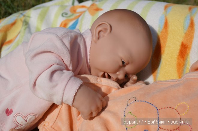 Часть первая. Мои крупняшки-пухлячки Беренжер