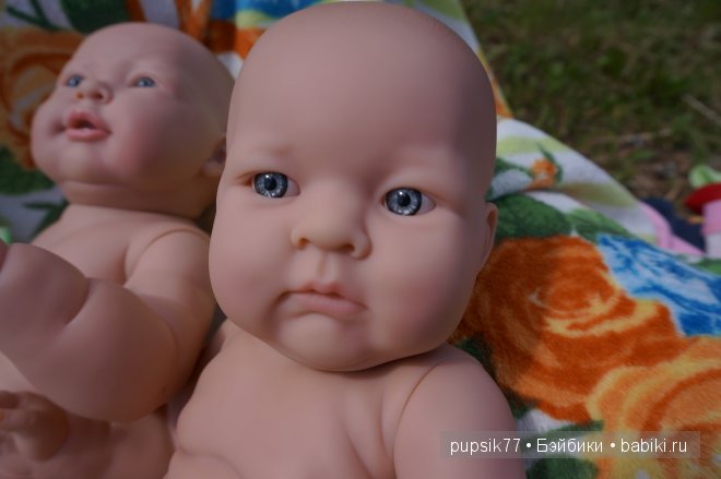 Часть первая. Мои крупняшки-пухлячки Беренжер