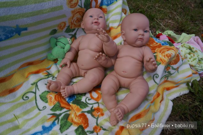 Часть первая. Мои крупняшки-пухлячки Беренжер