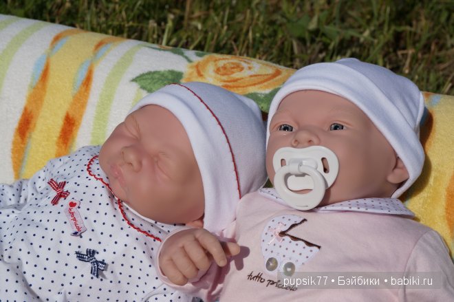 Часть первая. Мои крупняшки-пухлячки Беренжер