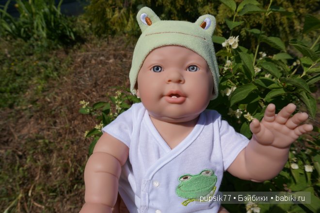 Часть первая. Мои крупняшки-пухлячки Беренжер (фото 3)