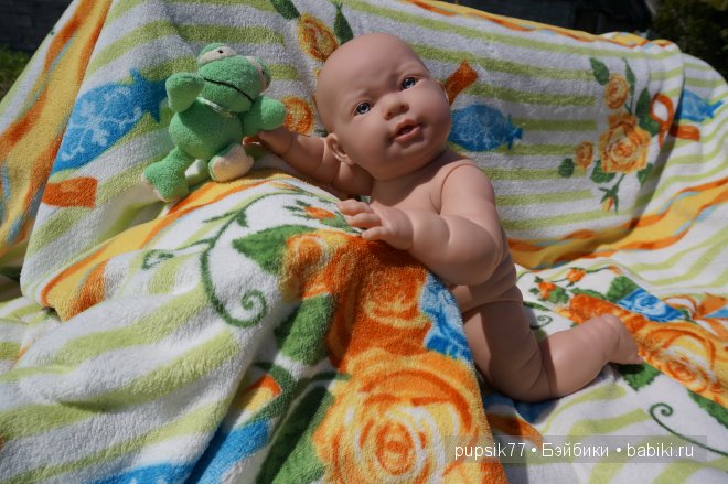 Часть первая. Мои крупняшки-пухлячки Беренжер (фото 6)